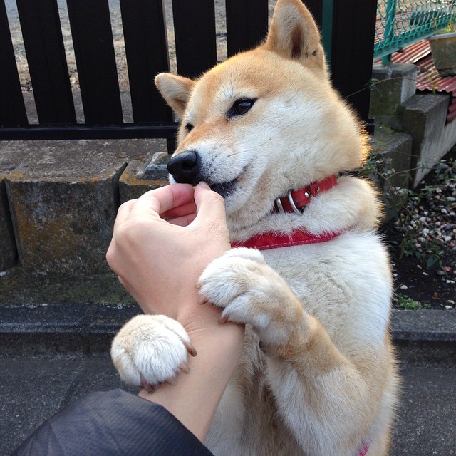 世俱杯直播在线观看免费-青训中心增设战术课后小组赛提升学以致用能力